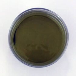 Nickel Oxide – YSZ (66/34 wt%) – Paste