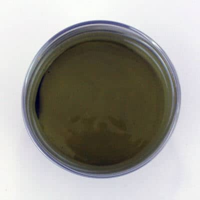 NiNiO Current Collector Ink